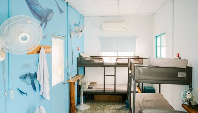 2022 限時飯店優惠 鳳山79 背包客 No 79 Backpacker 高雄 Expedia Com Tw