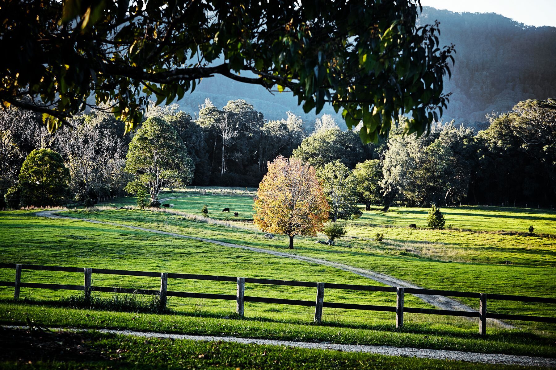 Thamarra Guest House