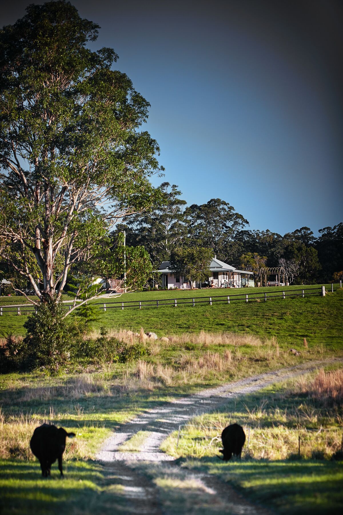 Thamarra Guest House
