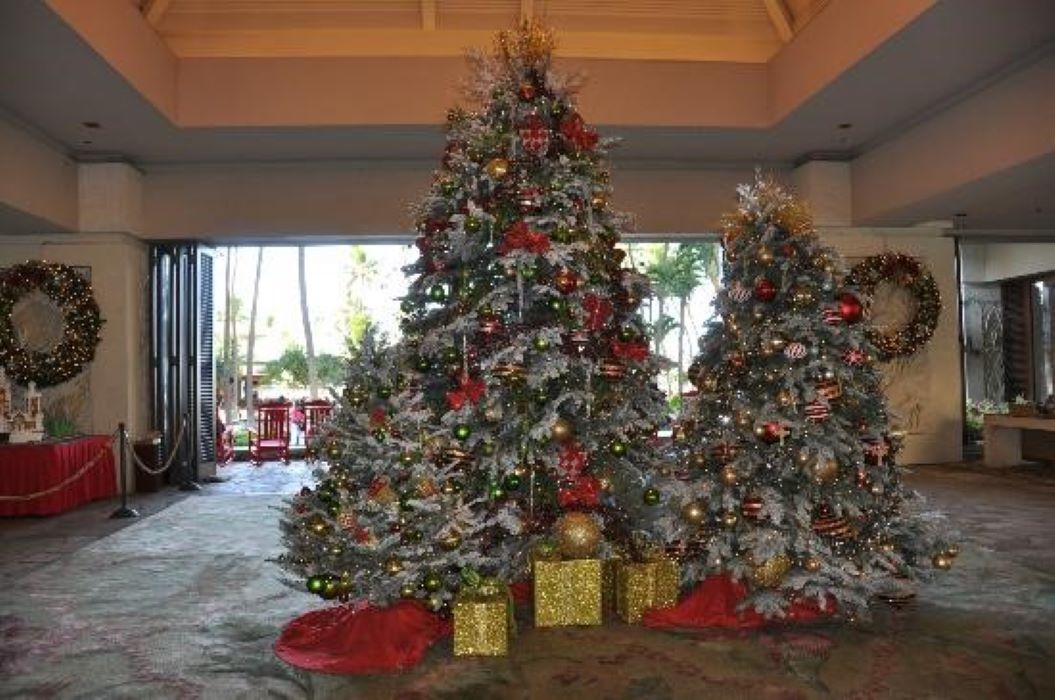 P Town Hotels Christmas 2022 Xmas Week Lagoon Tower Ocean View 2Br 2Bath Hilton Hawaiian Village: 2022  Room Prices, Deals & Reviews | Expedia.com