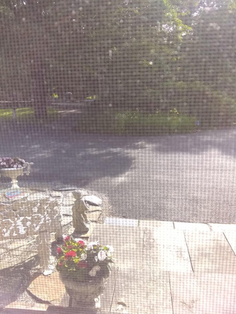 Tanglewood Suites Reviews, Photos & Rates