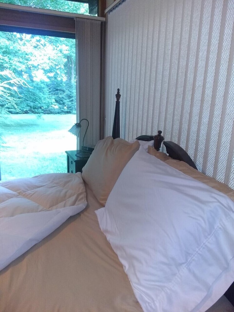 Tanglewood Suites Reviews, Photos & Rates