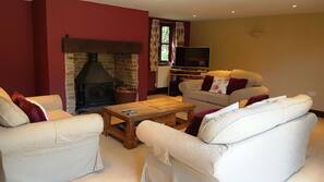 TV, fireplace, DVD player, books