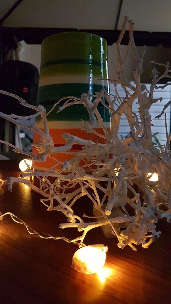 Foto - Musica Guest House