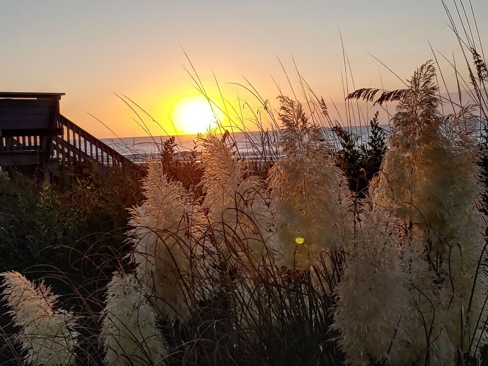 Charming 1st Floor Oceanfront/Beachfront Studio-Amazing Views from the Bed!