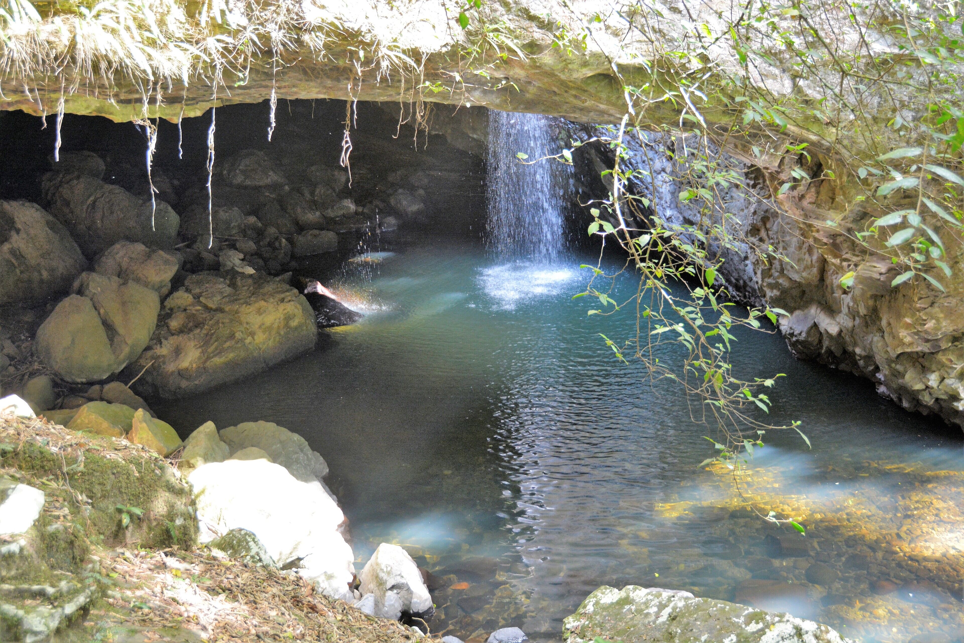 Willow Cabin Romantic Getaway in Scenic Rim