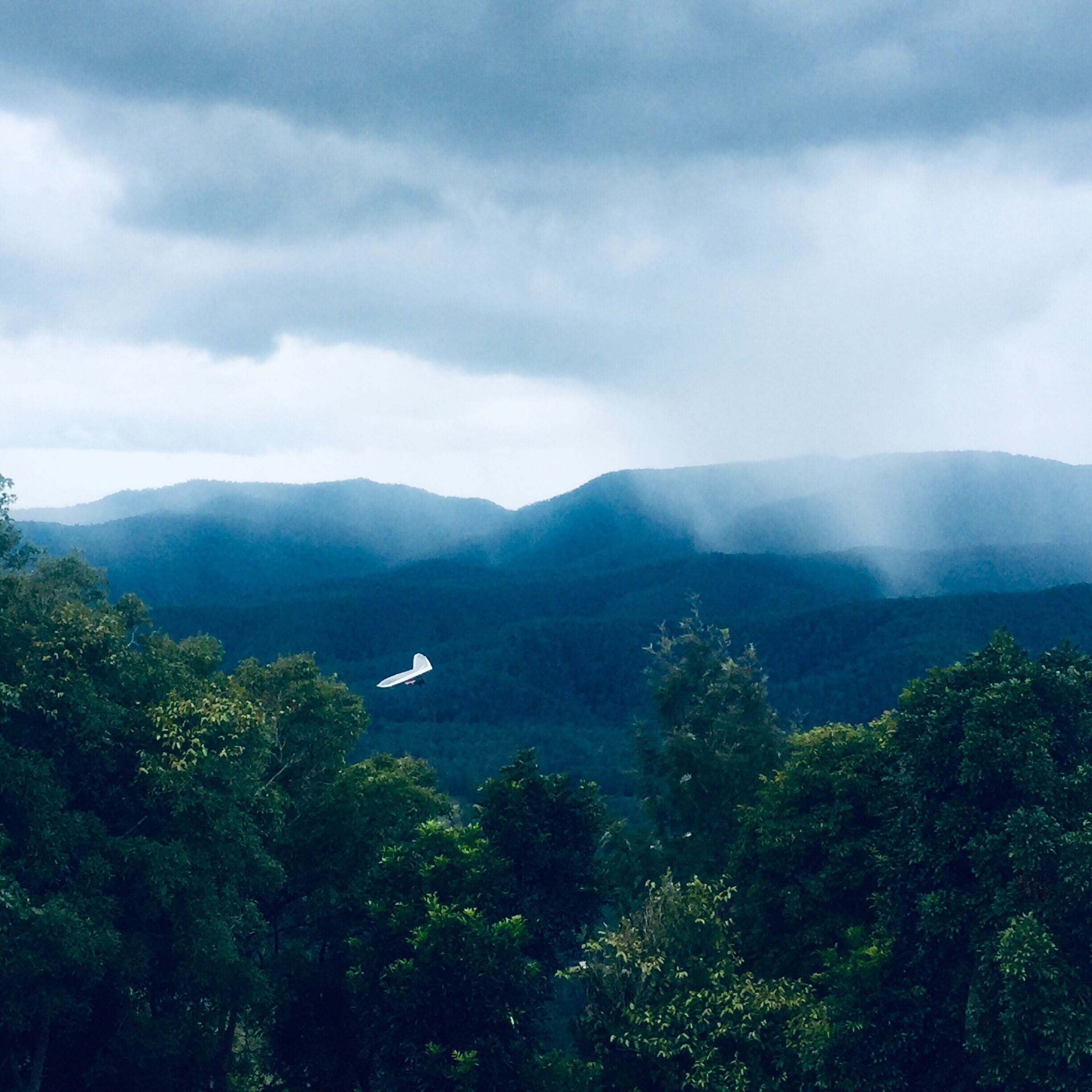 Willow Cabin Romantic Getaway in Scenic Rim