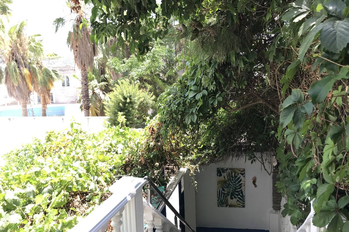 Olivia Hotel In Bodrum Turkey Expedia