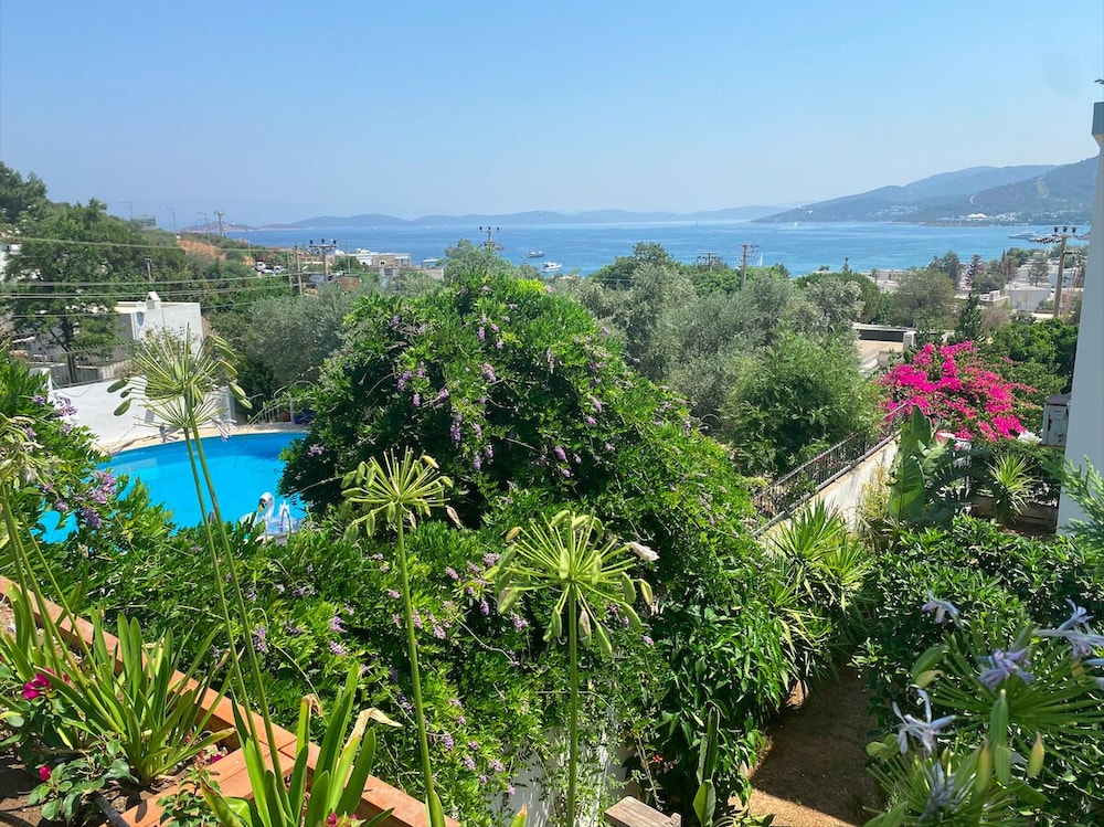 Olivia Hotel