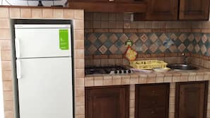 Fridge, stovetop, cookware/dishes/utensils