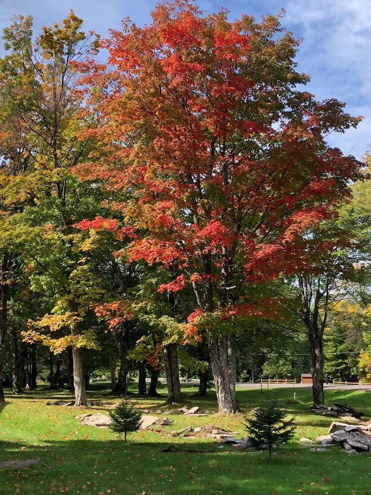 Clean & Cozy family friendly cabin close to the Porcupine Mountains