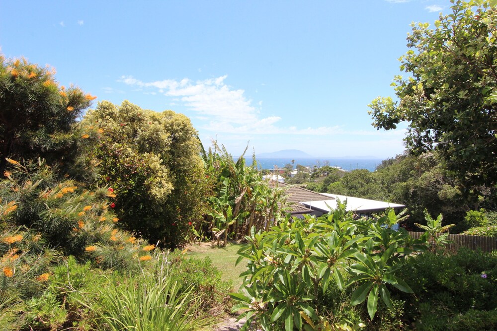 The Crowdy Bay View
