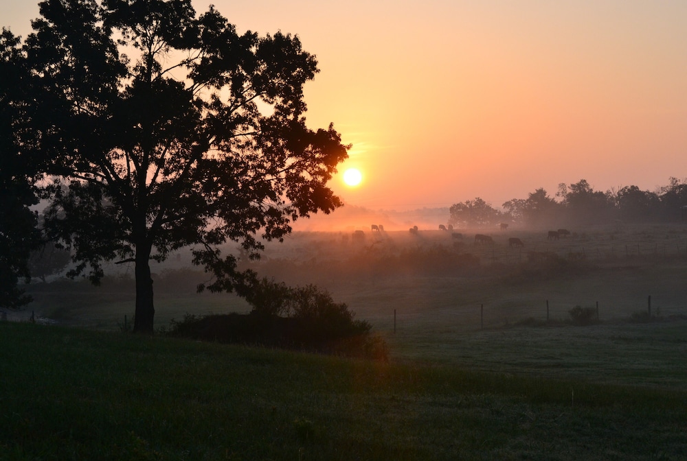 Private Secluded Cabin In Octavia Cheap Hotel Deals Rates