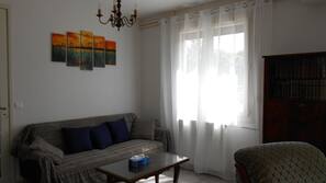 TV, DVD player, books, video library
