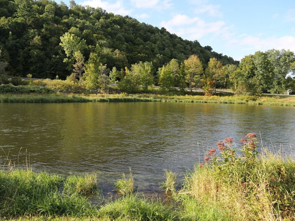 Rivers Edge of the West Branch Delaware River w Private Boat Launch in