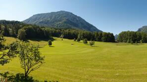 Ausblick vom Zimmer