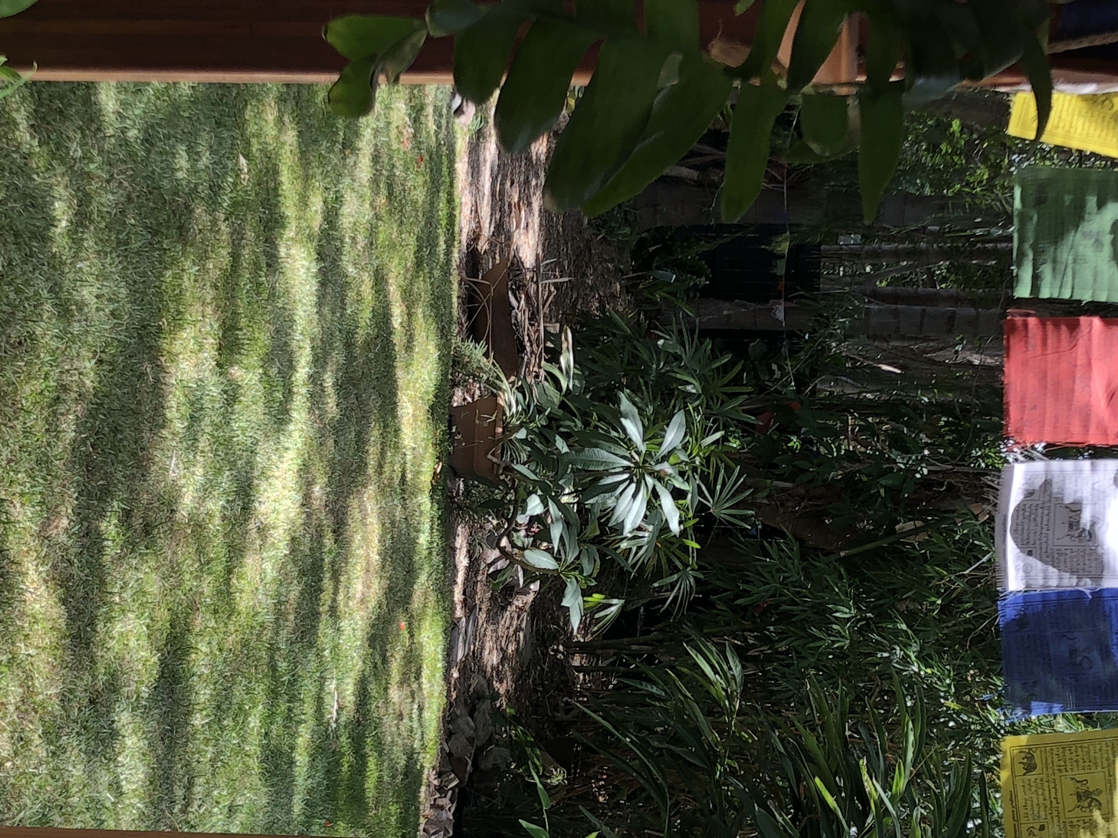 Ethel's Hideaway B&B