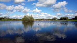 Lake