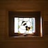 Beehive @ Westcote Glamping- Campsite
