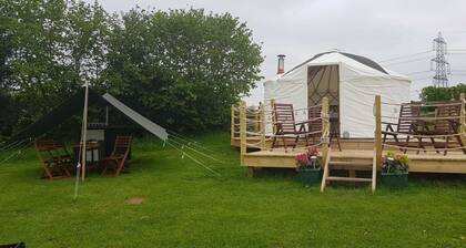 Greenacres Glamping