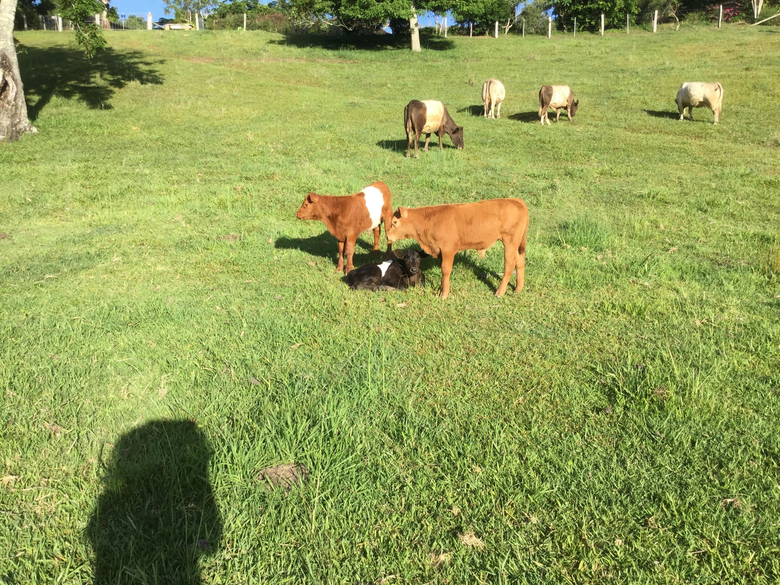 The Croft Bed and Breakfast