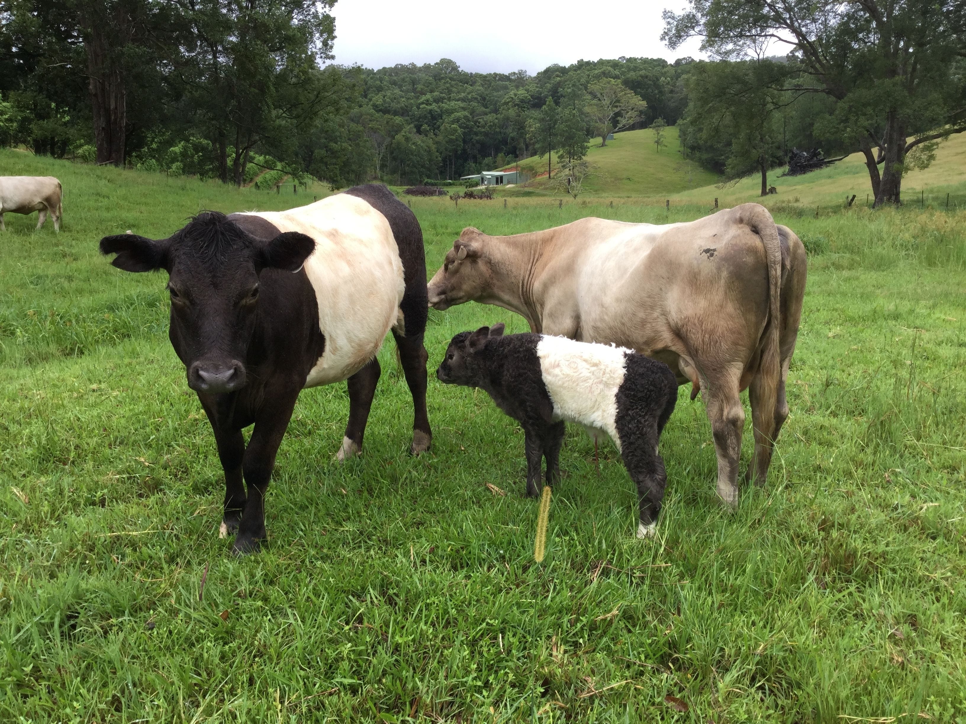The Croft Bed and Breakfast