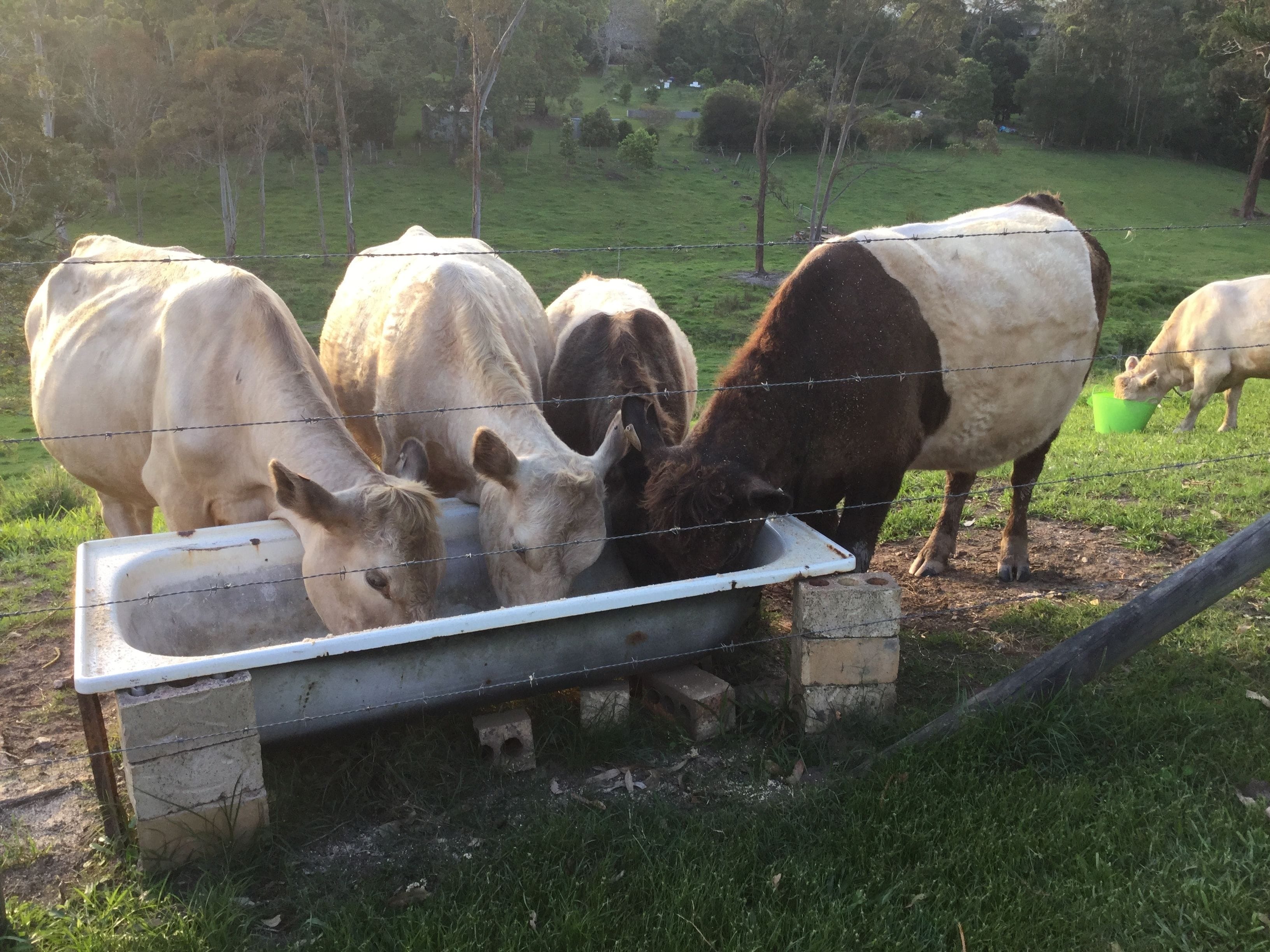 The Croft Bed and Breakfast