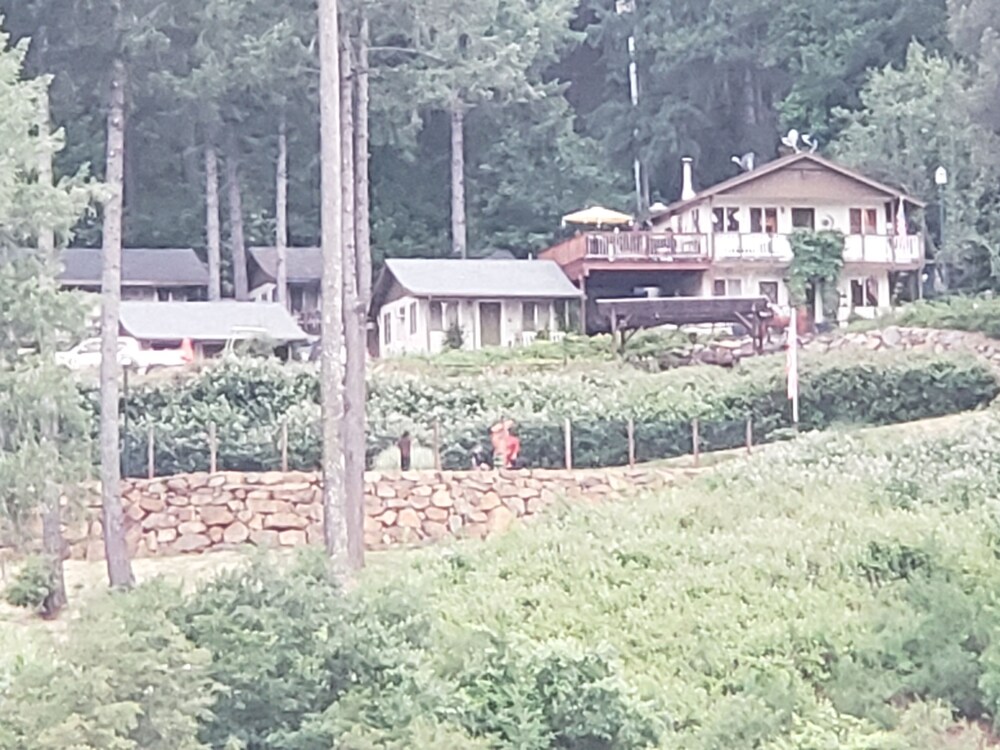 Cozy Lake Front Cabin On Rollins Lake In Grass Valley Hotel
