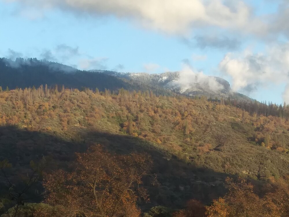  Sequoia and Kings Canyon 