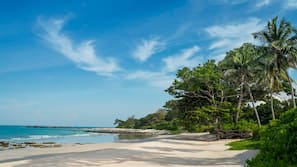 On the beach, sun-loungers, beach umbrellas, beach towels