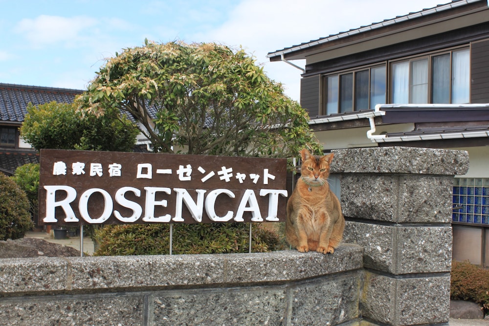 ローゼンキャット