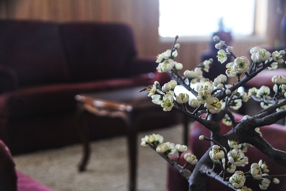 Foto - Hotel Solar da Charneca