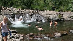 Natural pool