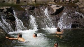 Natural pool