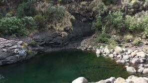 Natural pool