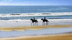 Playa privada, tumbonas, sombrillas y toallas de playa