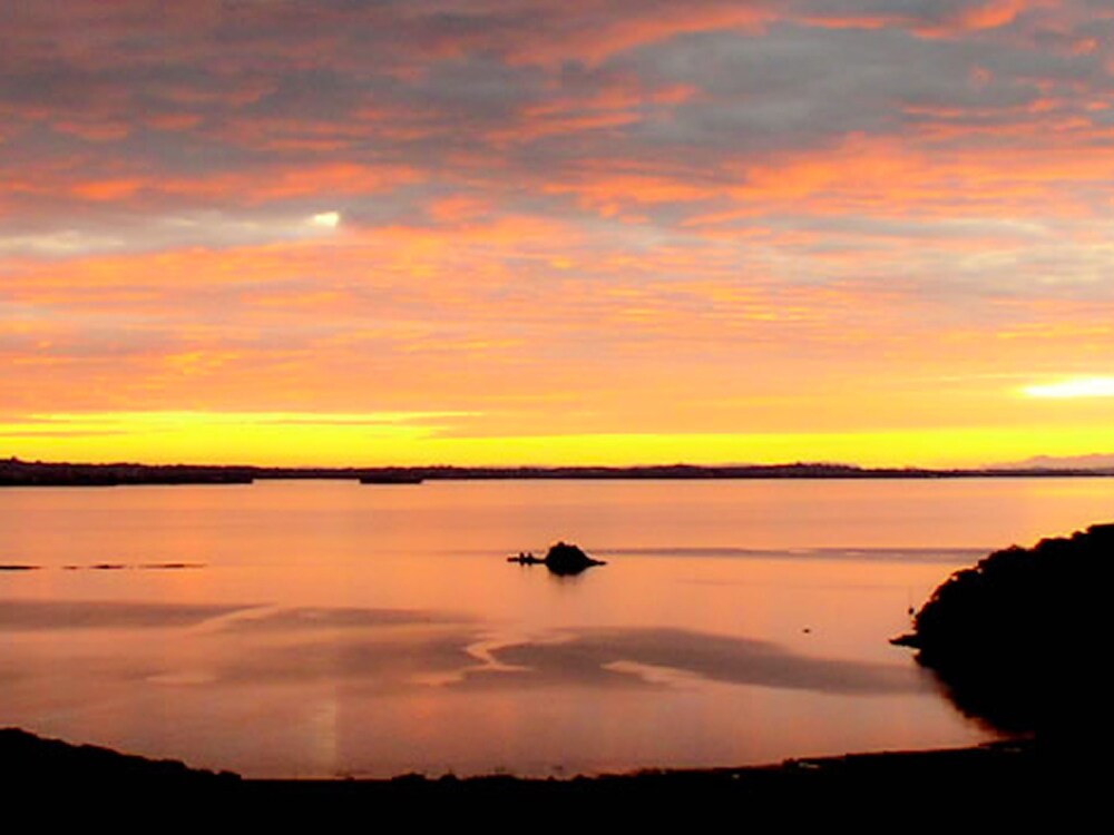 Koi Roc Waiheke Island Deals & Reviews (Auckland, NZL