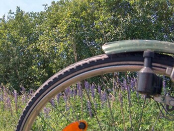 Haus Ridder Bad Laer 2020 Room Prices Reviews Travelocity