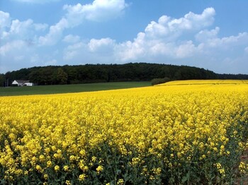 Haus Ridder Bad Laer 2020 Room Prices Reviews Travelocity