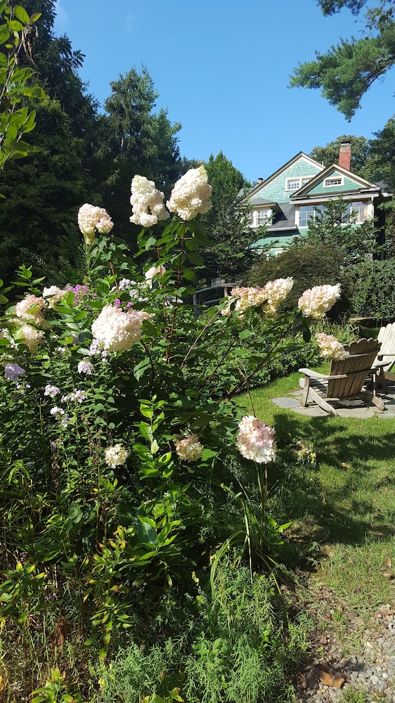 Cumberland Falls Bed And Breakfast Reviews Cumberland Falls Bed And Breakfast Reviews