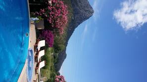Seasonal outdoor pool, pool umbrellas, sun loungers