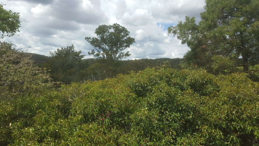 Hepburn Springs Motor Inn