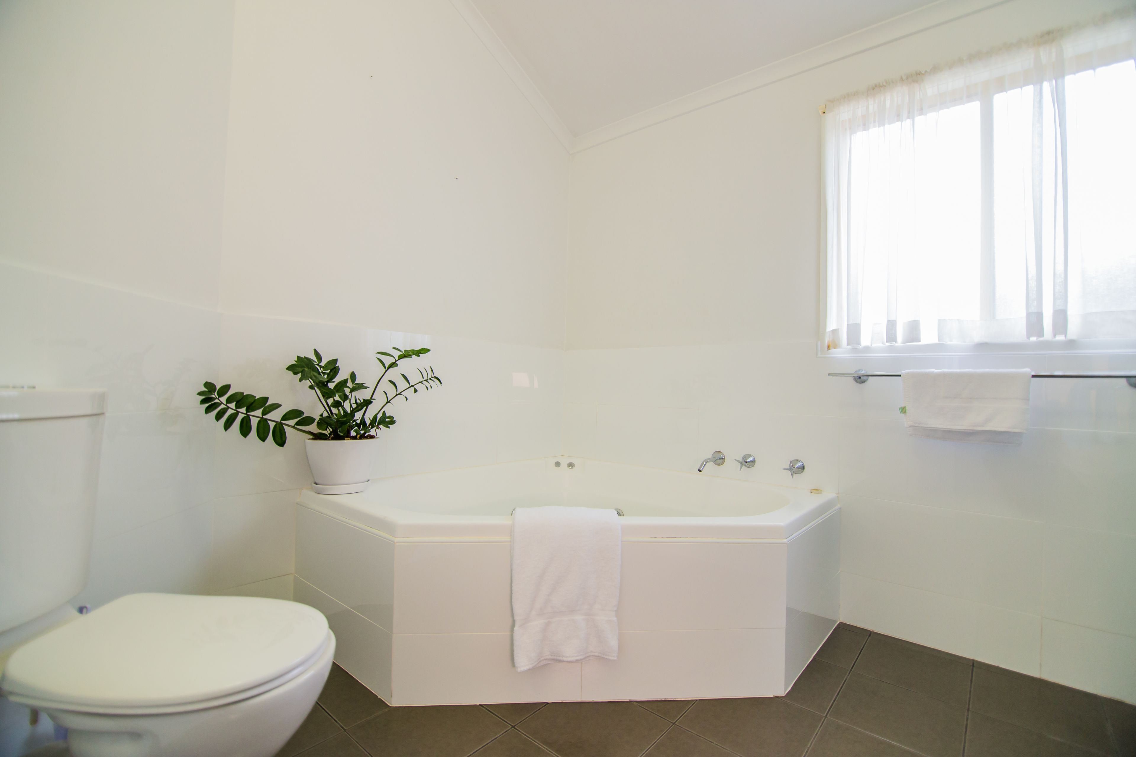 Blue Dolphin Holiday Resort