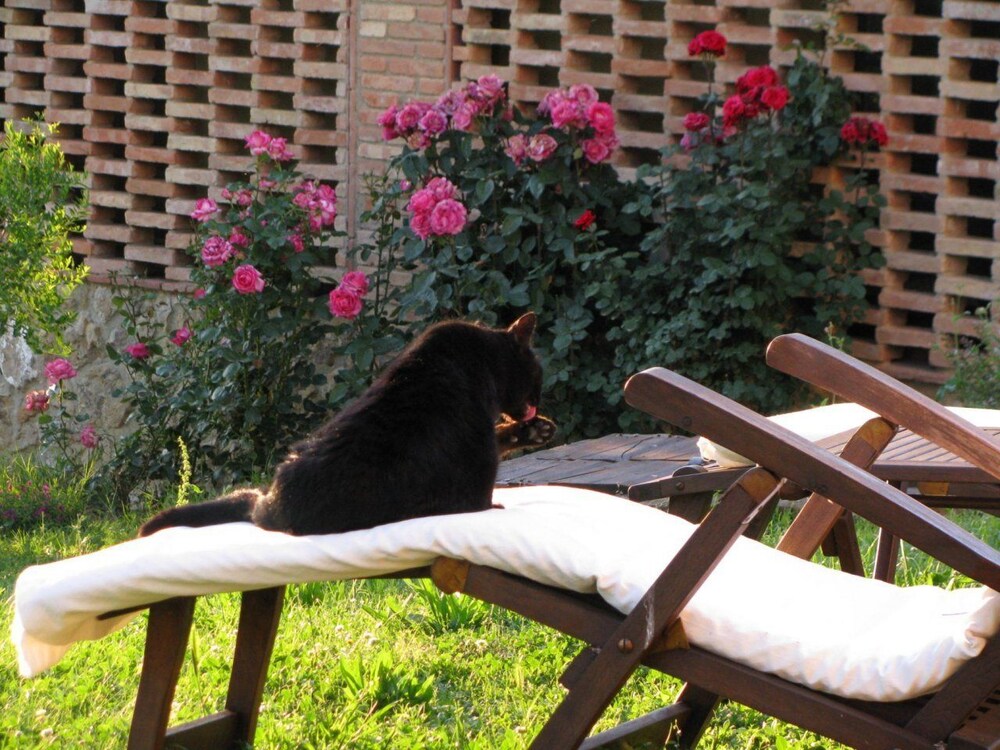 Foto - Il Rosolaccio