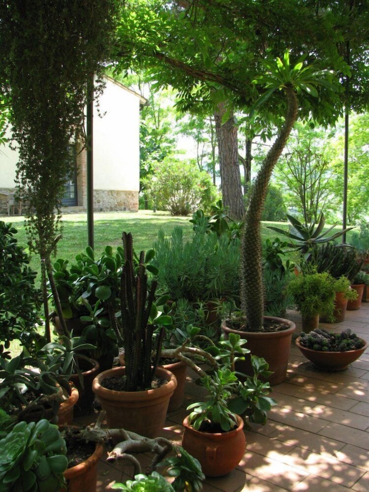 Foto - Il Rosolaccio