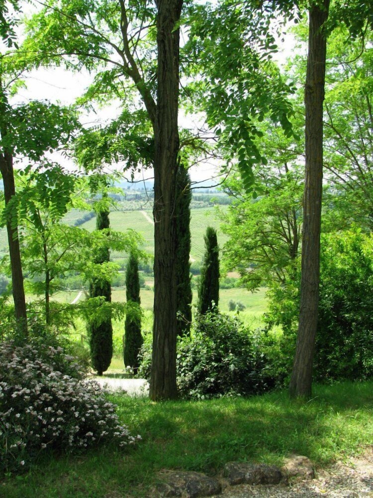 Foto - Il Rosolaccio