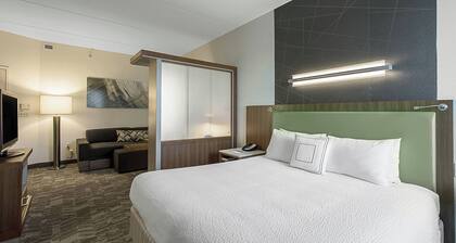 SpringHill Suites by Marriott Tampa North/I 75 Tampa Palms