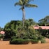Forest Lodge Resort in Pemberton, Australia