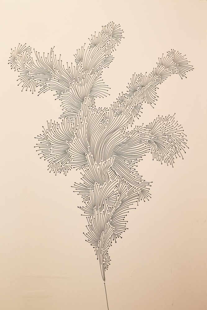 Foto - Boutique Hotel Novecento