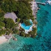 Oslob Vacation Packages 22 Travelocity